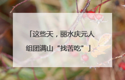 这些天，丽水庆元人组团满山“找苦吃”