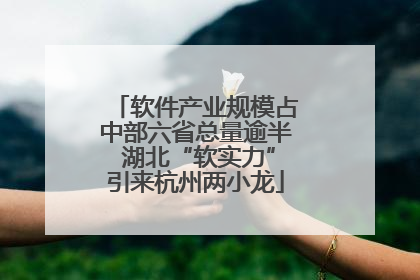 软件产业规模占中部六省总量逾半 湖北“软实力”引来杭州两小龙