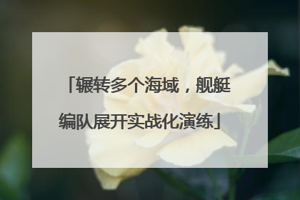 辗转多个海域,舰艇编队展开实战化演练