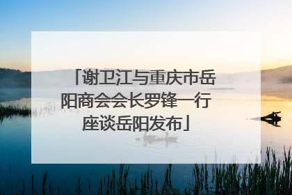 谢卫江与重庆市岳阳商会会长罗锋一行座谈岳阳发布