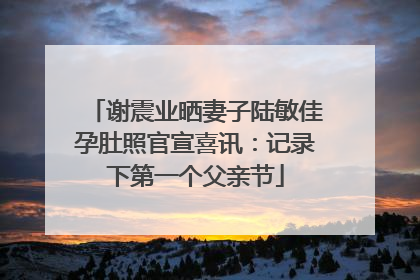 谢震业晒妻子陆敏佳孕肚照官宣喜讯：记录下第一个父亲节