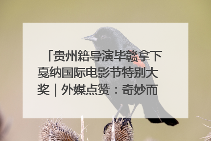贵州籍导演毕赣拿下戛纳国际电影节特别大奖｜外媒点赞：奇妙而广阔的纯粹电影梦
