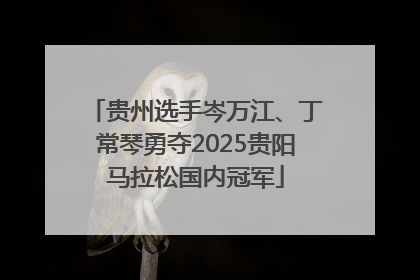 贵州选手岑万江、丁常琴勇夺2025贵阳马拉松国内冠军