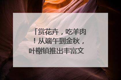 赏花卉，吃羊肉！从端午到金秋，叶榭镇推出丰富文旅活动邀您爽玩