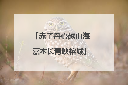赤子丹心越山海 嘉木长青映榕城