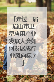 走过三届 眉山市卫星应用产业发展大会如何发展成行业风向标？