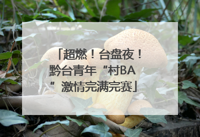 超燃！台盘夜！黔台青年“村BA”激情完满完赛