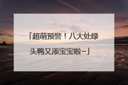 超萌预警！八大处绿头鸭又添宝宝啦~