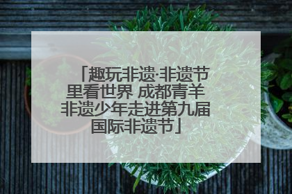 趣玩非遗·非遗节里看世界 成都青羊非遗少年走进第九届国际非遗节