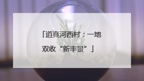 道真河西村：一地双收“新丰景”