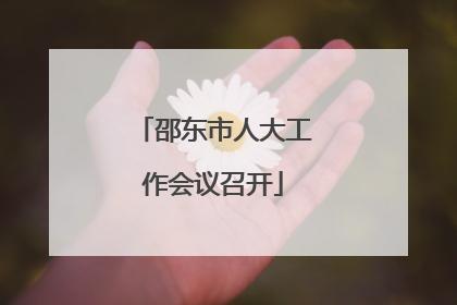 邵东市人大工作会议召开