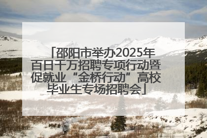 邵阳市举办2025年百日千万招聘专项行动暨促就业“金桥行动”高校毕业生专场招聘会