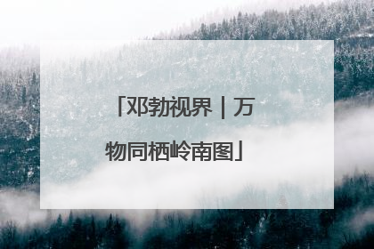 邓勃视界｜万物同栖岭南图