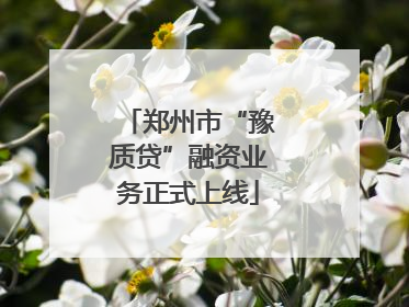 郑州市“豫质贷”融资业务正式上线