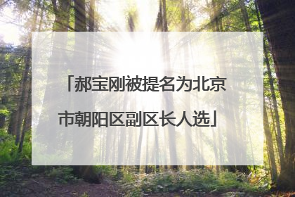 郝宝刚被提名为北京市朝阳区副区长人选