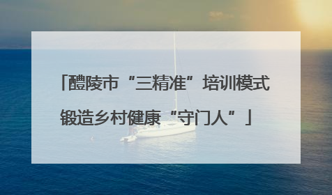 醴陵市“三精准”培训模式锻造乡村健康“守门人”
