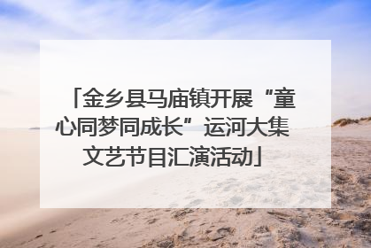 金乡县马庙镇开展“童心同梦同成长”运河大集文艺节目汇演活动