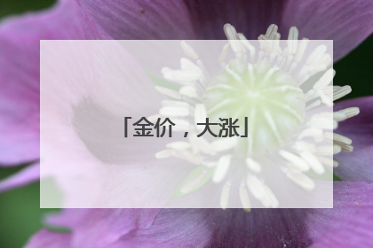 金价，大涨
