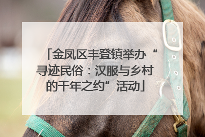 金凤区丰登镇举办“寻迹民俗：汉服与乡村的千年之约”活动