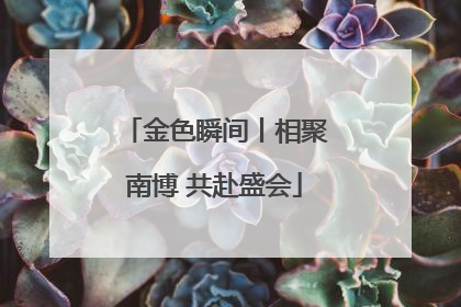 金色瞬间丨相聚南博 共赴盛会