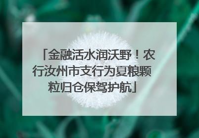 金融活水润沃野！农行汝州市支行为夏粮颗粒归仓保驾护航