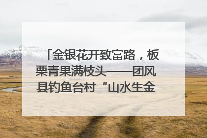金银花开致富路，板栗青果满枝头——团风县钓鱼台村“山水生金”谱写共富新篇章