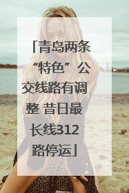 青岛两条“特色”公交线路有调整 昔日最长线312路停运