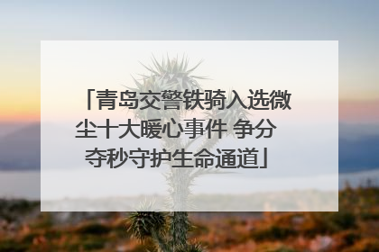 青岛交警铁骑入选微尘十大暖心事件 争分夺秒守护生命通道