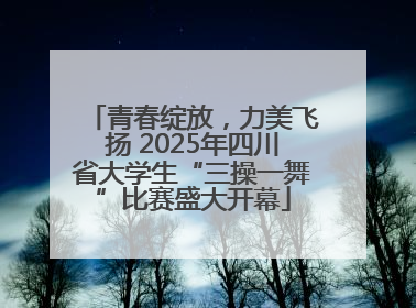 青春绽放，力美飞扬 2025年四川省大学生“三操一舞”比赛盛大开幕