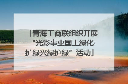 青海工商联组织开展“光彩事业国土绿化·扩绿兴绿护绿”活动