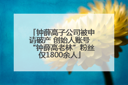 钟薛高子公司被申请破产 创始人账号“钟薛高老林”粉丝仅1800余人