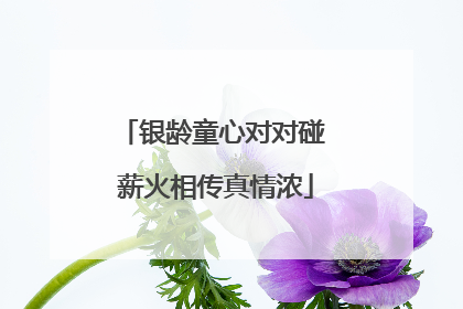 银龄童心对对碰 薪火相传真情浓