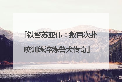 铁警苏亚伟：数百次扑咬训练淬炼警犬传奇