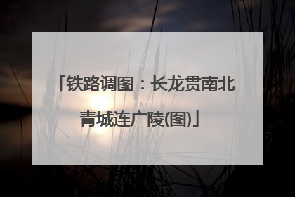 铁路调图：长龙贯南北 青城连广陵(图)