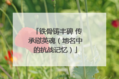 铁骨铸丰碑 传承慰英魂（地名中的抗战记忆）