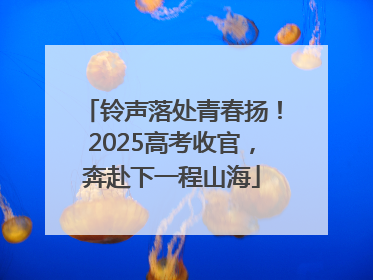 铃声落处青春扬！2025高考收官，奔赴下一程山海