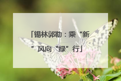 锡林郭勒：乘“新”风向“绿”行