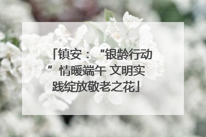 镇安：“银龄行动”情暖端午 文明实践绽放敬老之花