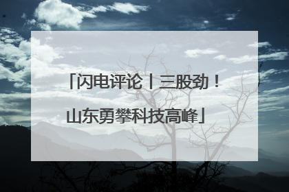 闪电评论丨三股劲！山东勇攀科技高峰