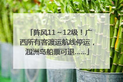 阵风11～12级！广西所有客渡运航线停运，涠洲岛船票可退……