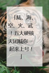陆、海、空、火、武！五大硬核天团喊你一起来上号！