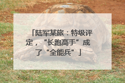 陆军某旅：特级评定，“长跑高手”成了“全能兵”