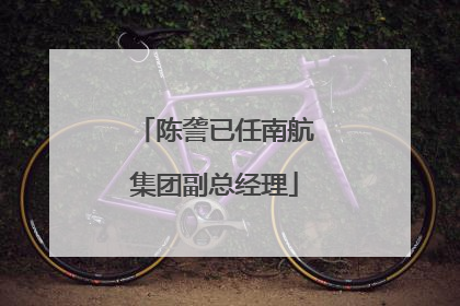 陈詟已任南航集团副总经理