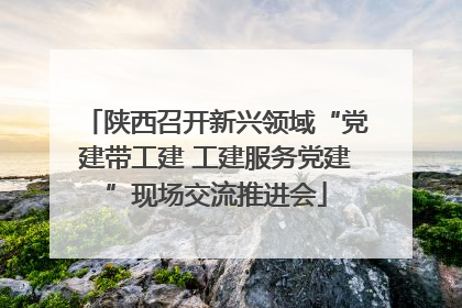 陕西召开新兴领域“党建带工建 工建服务党建”现场交流推进会