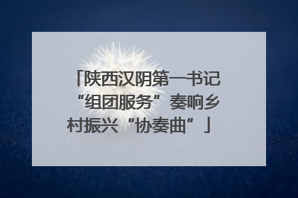 陕西汉阴第一书记“组团服务”奏响乡村振兴“协奏曲”