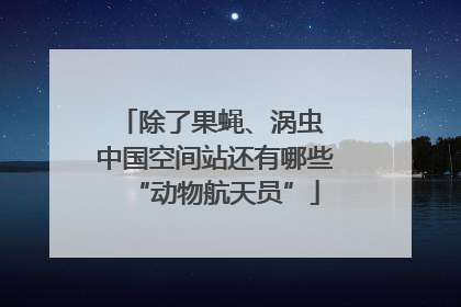 除了果蝇、涡虫 中国空间站还有哪些“动物航天员”