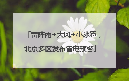 雷阵雨+大风+小冰雹，北京多区发布雷电预警