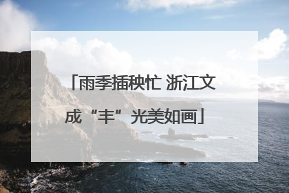 雨季插秧忙 浙江文成“丰”光美如画
