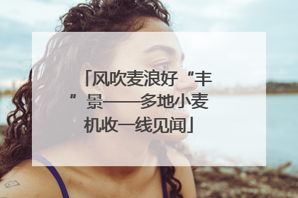 风吹麦浪好“丰”景——多地小麦机收一线见闻