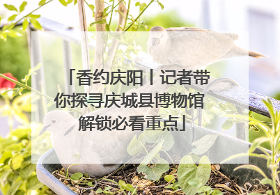 香约庆阳丨记者带你探寻庆城县博物馆 解锁必看重点